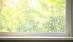 Compiano Frosted Floral Privacy Window Film Creative Windows
