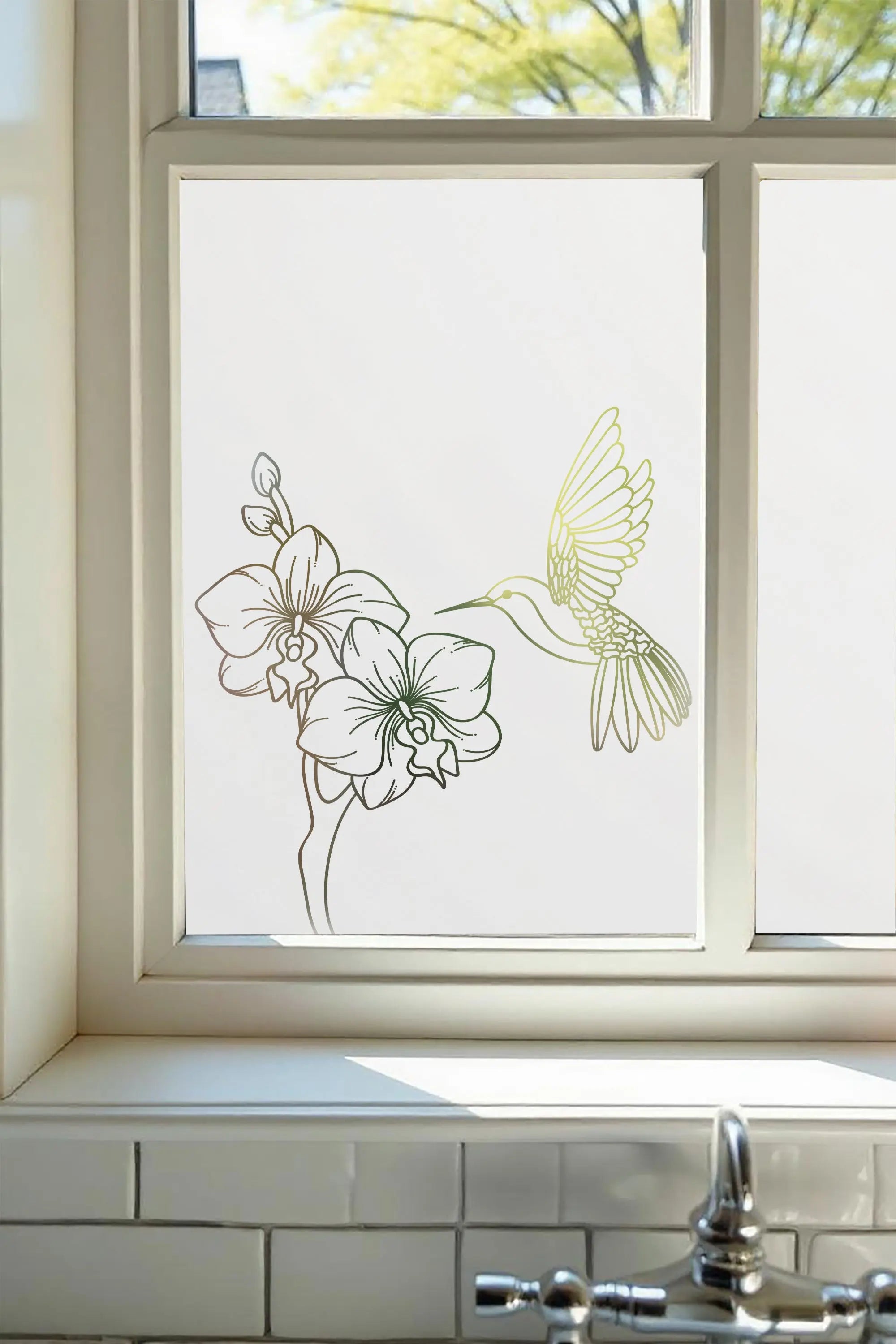 Collecchio Frosted Privacy Cut Out Hummingbird Window Film Creative Windows