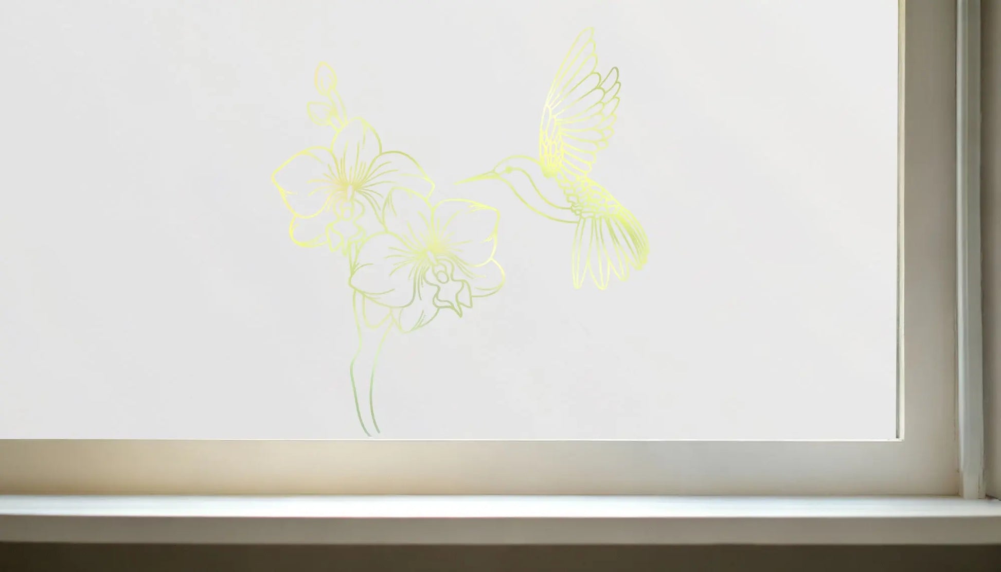 Collecchio Frosted Privacy Cut Out Hummingbird Window Film Creative Windows