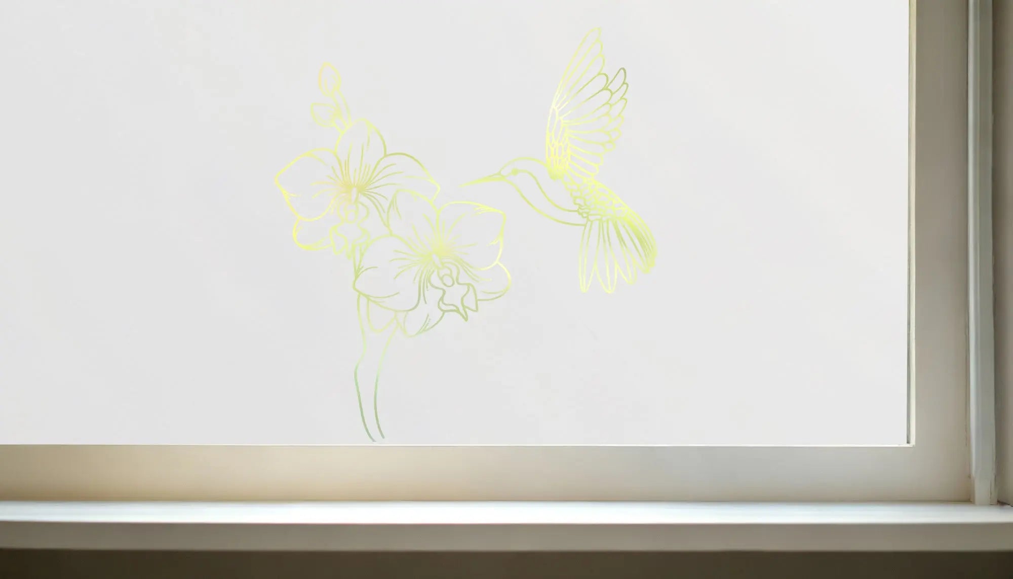 Collecchio Frosted Privacy Cut Out Hummingbird Window Film Creative Windows