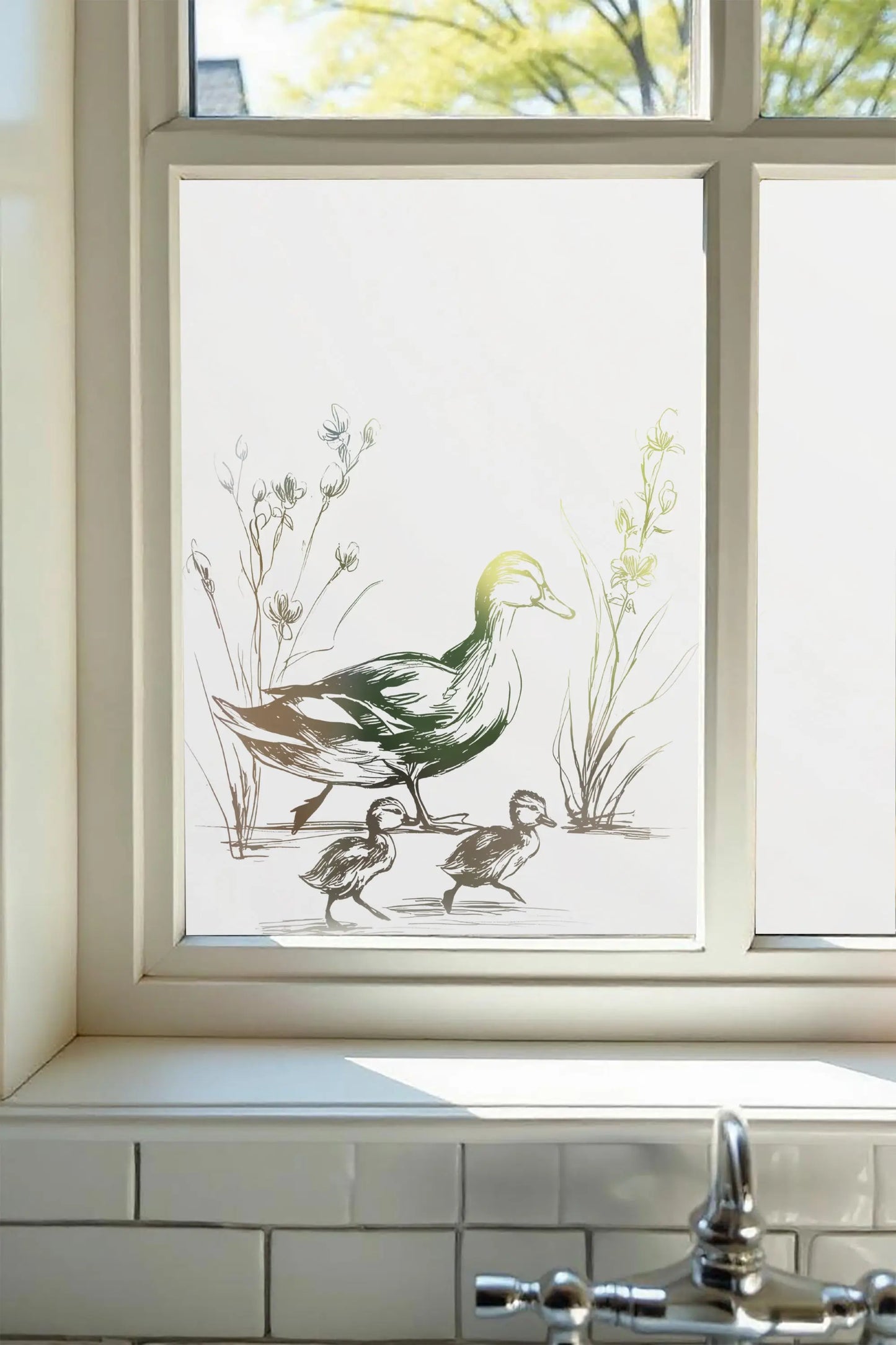 Colledara Privacy Frosted Duck Cut Out Window Film Creative Windows