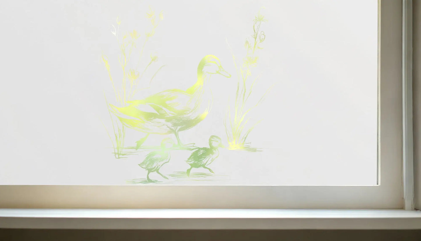 Colledara Privacy Frosted Duck Cut Out Window Film Creative Windows