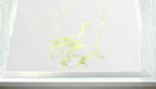 Colledara Privacy Frosted Duck Cut Out Window Film Creative Windows