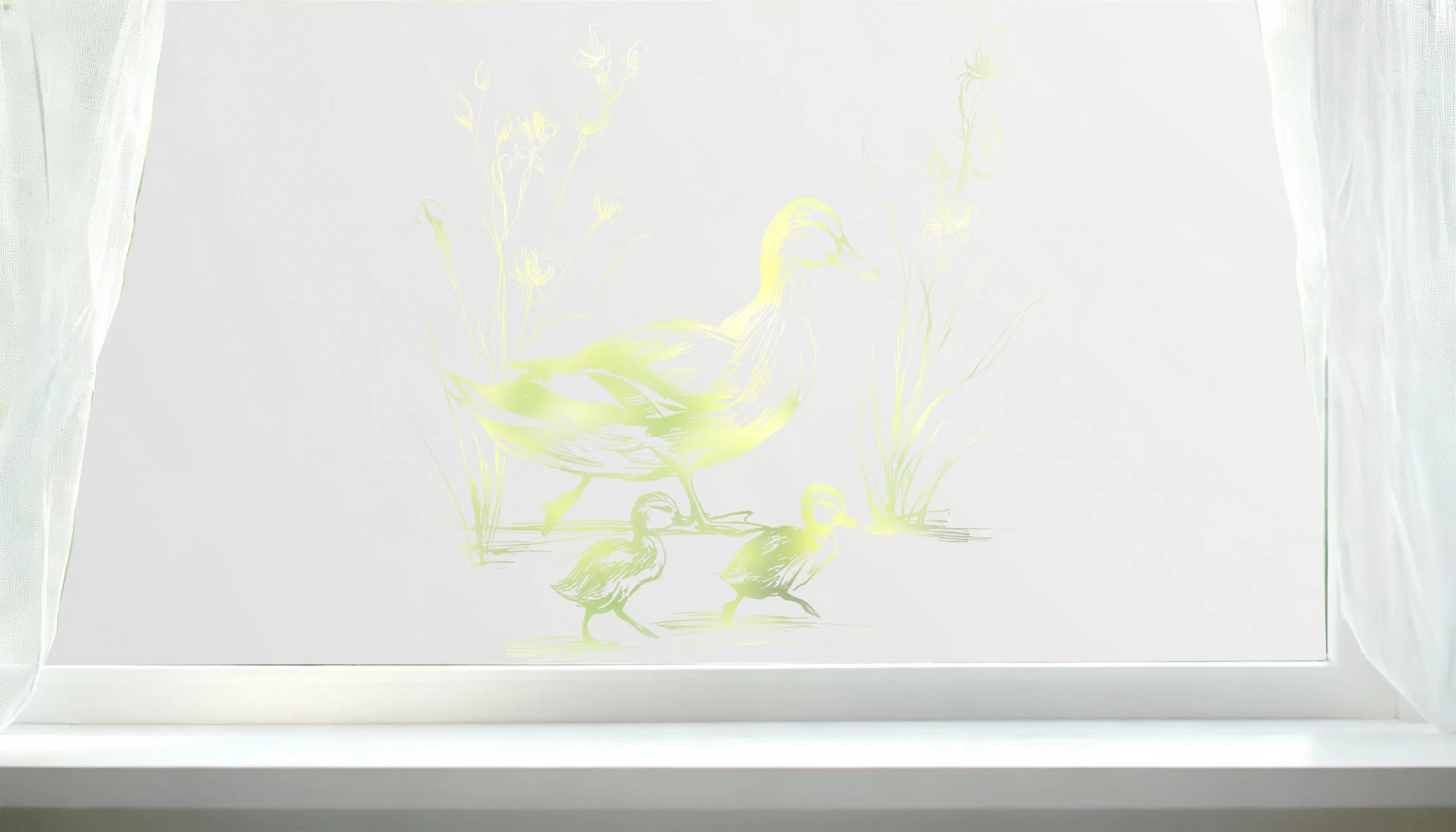 Colledara Privacy Frosted Duck Cut Out Window Film Creative Windows