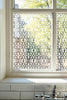 Elva Privacy Frosted Patterned Window Film