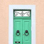 Frosted Privacy Window Film, Art Nouveau Scroll Transom & Fanlight