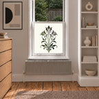 Privacy Window Film, Art Nouveau Botanical Frosted Design