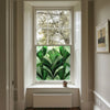 Privacy Window Film Trappeto Creative Windows