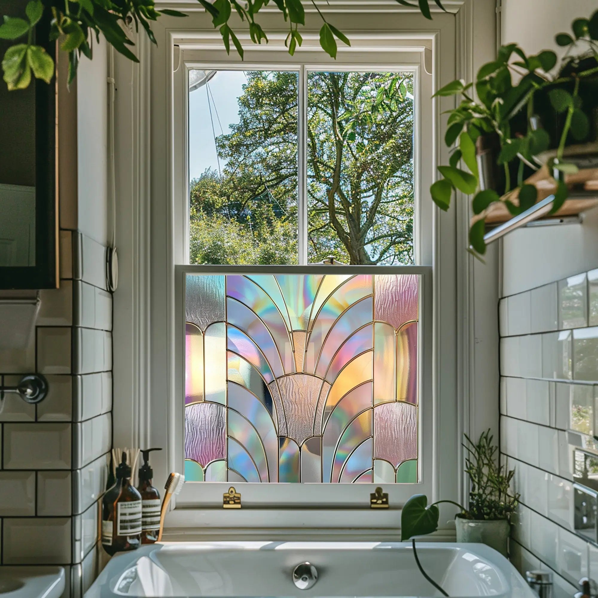 Valladolid Window Film For Privacy Creative Windows