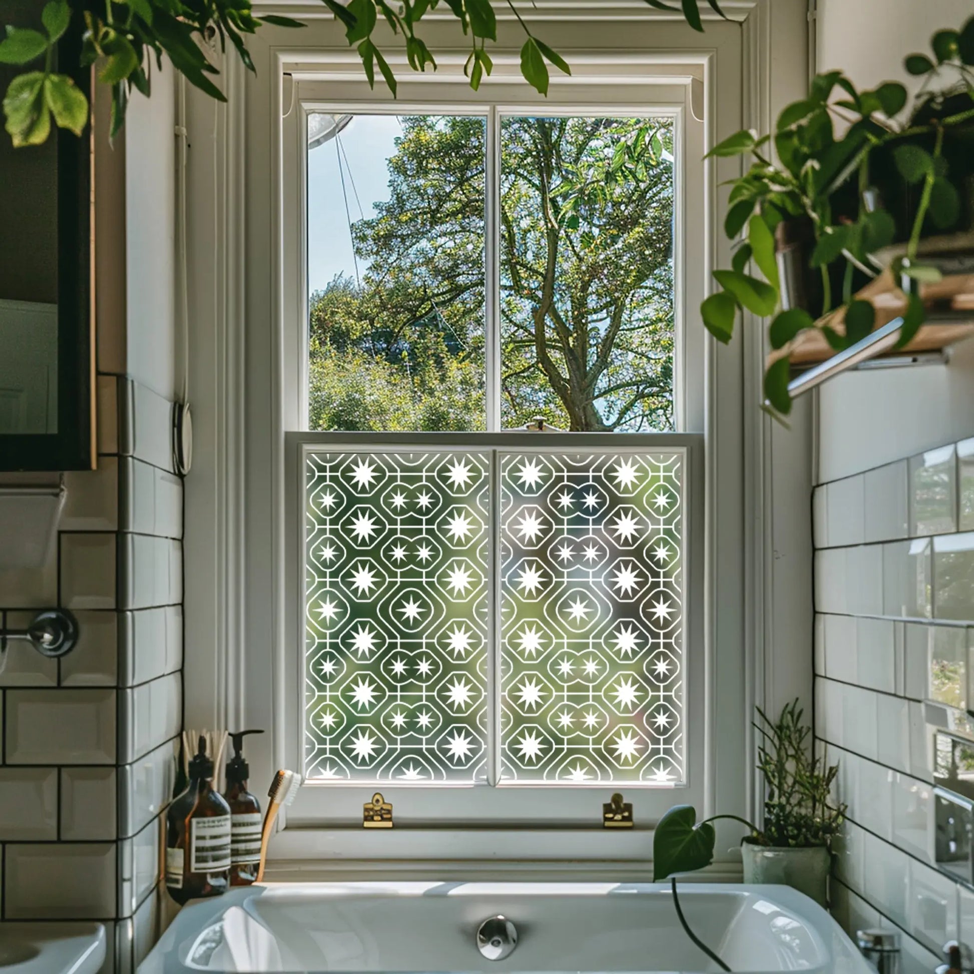 Cortenova Frosted Privacy Window Film Creative Windows