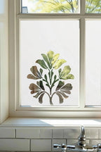 Cormons Frosted Privacy Window Film Creative Windows