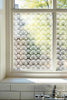 Condino Frosted Privacy Window Film Creative Windows