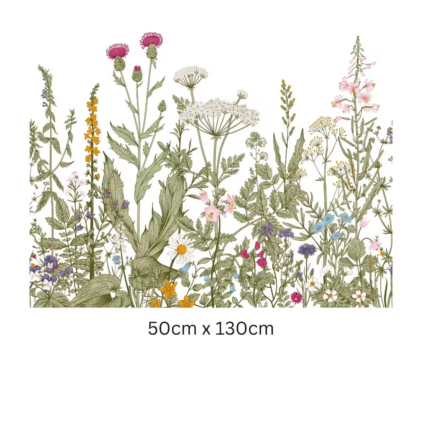 Floral Window Film Border, Privacy Window Film, Floral Window Film